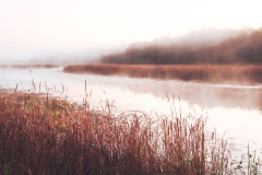 Near Alexandria Bay NY