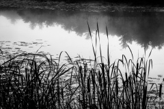 Near Alexandria Bay NY