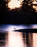 St Lawrence River, Kring Point