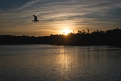 St Lawrence River, Wellesley Island at Sunrise