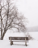 Gilbert Lake State Park