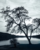 3 Mile Point, Cooperstown