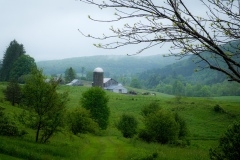 Burlington NY - County 16