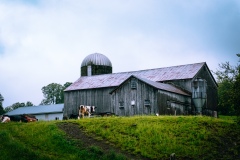 Burlington NY - County 16