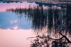 Youngs Lake near Springfield