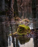 Rogers Conservation Center