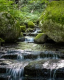 DSCF4764
