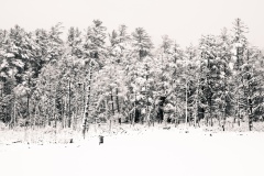 DSCF4987