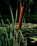 DSCF5041