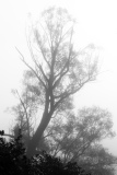 DSCF5163-Edit