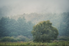 Edmeston on a Rainy Morning